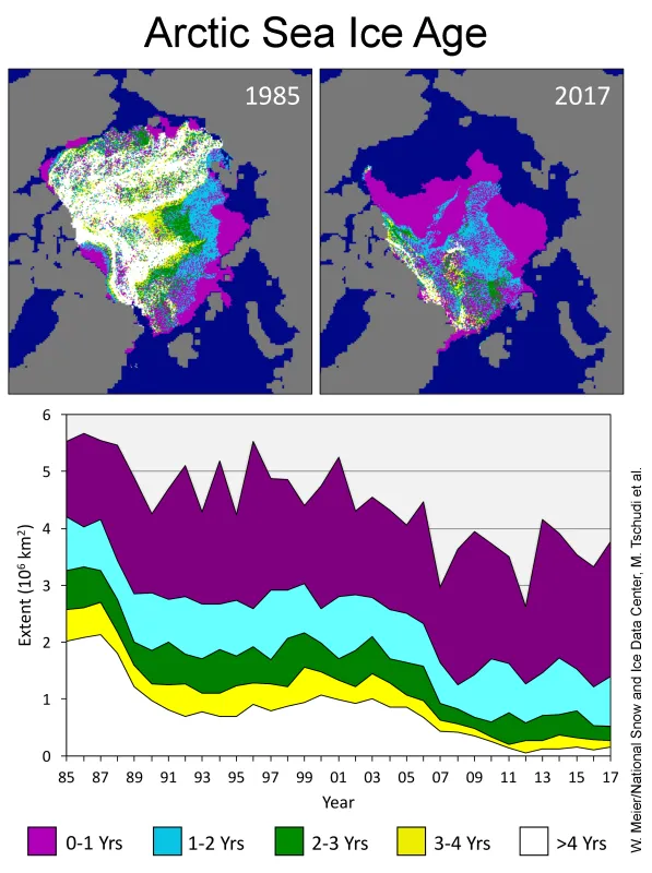 Sea ice age distribution at the annual minimum extent for 1985 (upper left) and 2017 (upper right). Time series (bottom) of different age categories the minimum extent for 1985 to 2017.