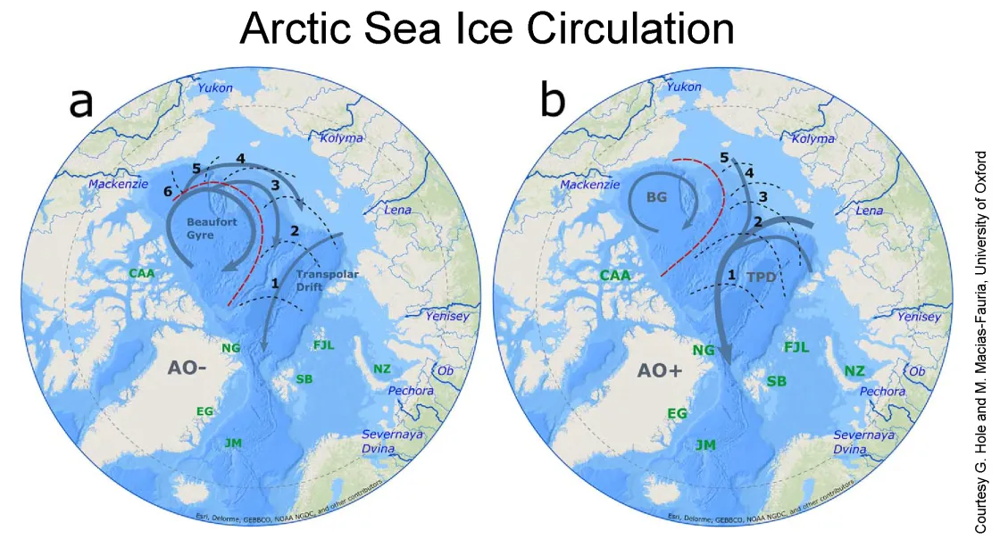 The maps show two modes of wintertime Arctic sea ice circulation patterns. (a) shows the Low Arctic Oscillation (AO) index has a strong Beaufort Gyre which supports ice re-circulation within the Arctic. (b) shows the High AO index in which the Beaufort Gyre is weak and the Transpolar Drift expands, leading to Arctic ice exported in a shorter time interval. Bold numbers show the average time in years for ice starting from various locations to be exported through Fram Strait under the illustrated patterns