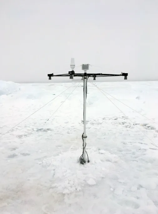 Image of MetOcean Snow Buoy.