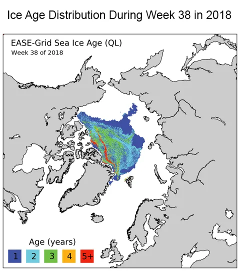 Map showing age of ice in Arctic.