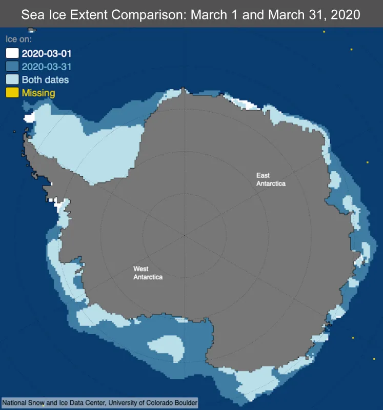 This map compares sea ice extent in Antarctica on March 1 and March 31, 2020.