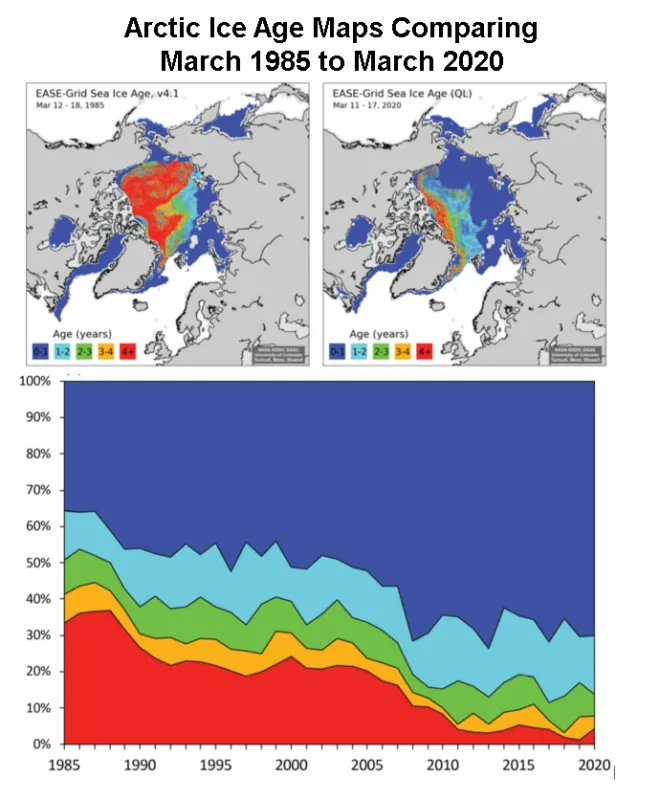  The top maps compare Arctic sea ice age for (a) March 12 to 18, 1985, and (b) March 11 to 17, 2020. The time series (c) of mid-March sea ice age as a percentage of Arctic Ocean coverage from 1985 to 2020 shows the nearly complete loss of 4+ year old ice; note the that age time series is for ice within the Arctic Ocean and does not include peripheral regions where only first-year (0- to 1-year-old) ice occurs, such as the Bering Sea, Baffin Bay, Hudson Bay, and the Sea of Okhotsk