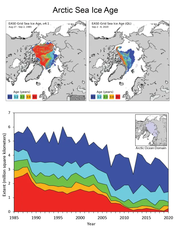 Maps showing ice age distribution for 1985 and 2020, as well as a time series graph showing minimum extent for various years.