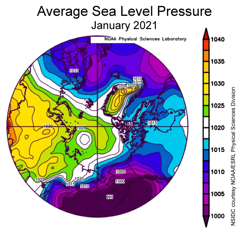 This plot shows average sea level pressure in the Arctic in millibars for January 2021. 