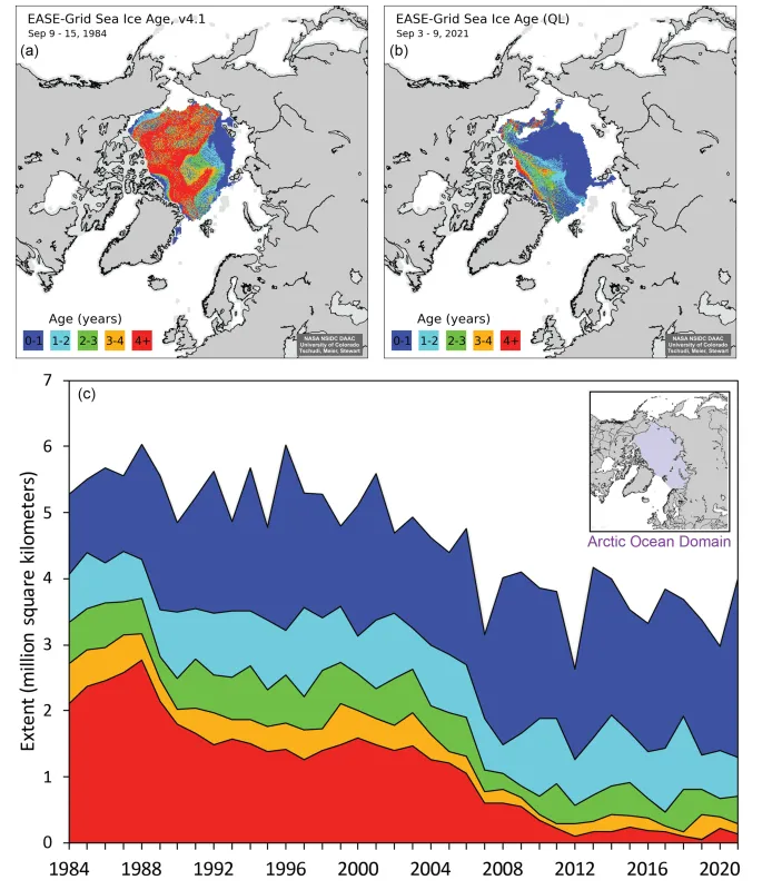 The top maps show sea ice age at the week of the minimum for 1984, on the left, and 2021, on the right. The bottom time series graph shows the total extent of age categories for 1984 to 2021, within the Arctic Ocean Domain (inset).