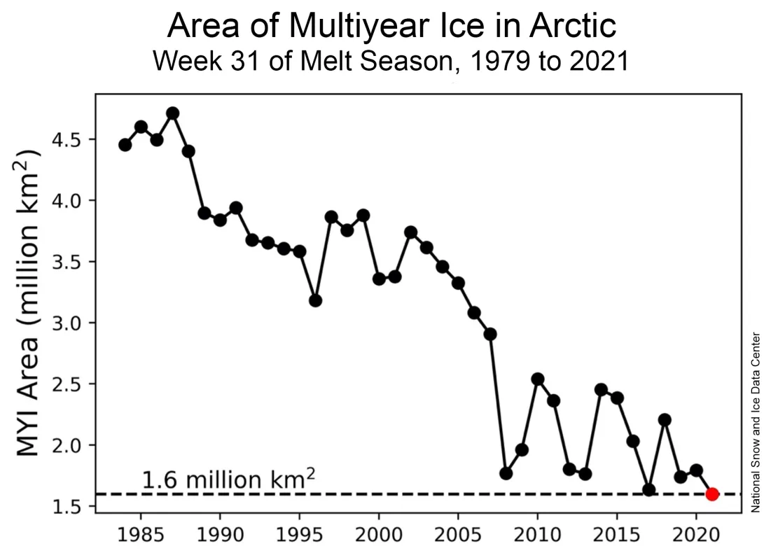 This graph shows the near record-low amount of multiyear ice in the Arctic as of week 31 (July 30 to August 5) of the 2021 melt season, comparing this year to the same week in previous years of the satellite record that began in 1979. Historical data through 2020 are provided by Tschudi et al., 2019a and quicklook data for 2021 by Tschudi et al., 2019b