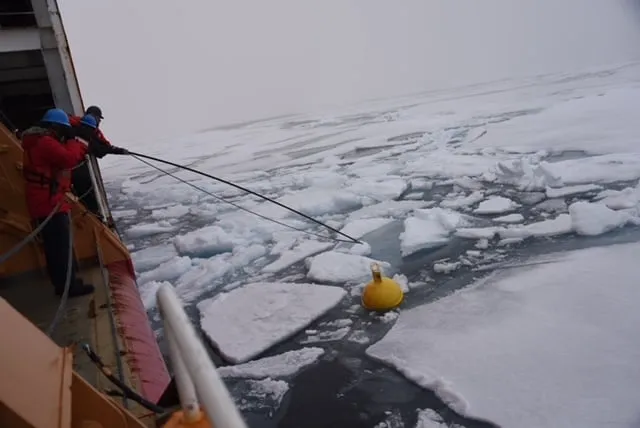 In this image, a Coast Guard Cutter HEALY crewmember prepares to retrieve an oceanographic research mooring in the Chukchi Sea on August 2, 2021.