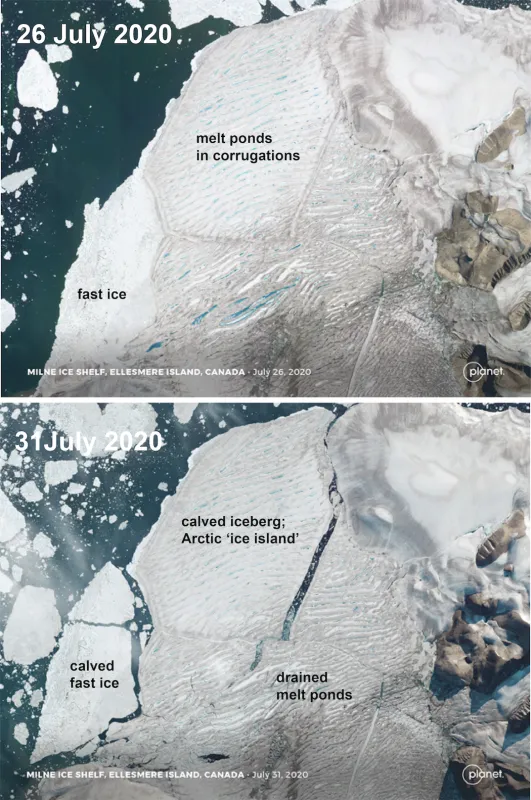 These images from Planet image data show the break-up of the Milne Ice Shelf located in northern Ellesmere Island; the large pieces seen in the 31 July image are now drifting in the Beaufort, and are much thicker than multi-year sea ice. The large iceberg labeled “Arctic ‘ice Island'” is about 10 kilometers by 8 kilometers in size. The Canadian Ice Service is tracking the larger pieces.