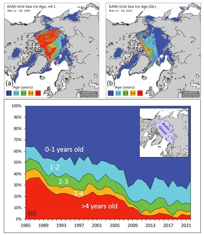 Two maps and a graph depicted Arctic sea ice age.