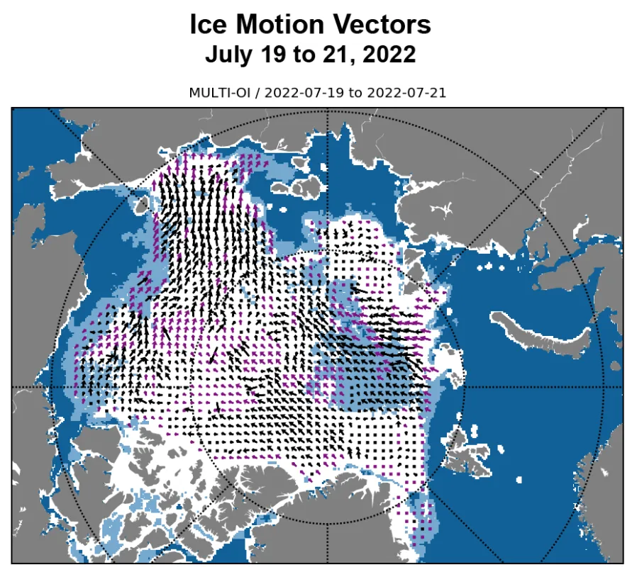 Map of Arctic Sea showing ice motion vectors.