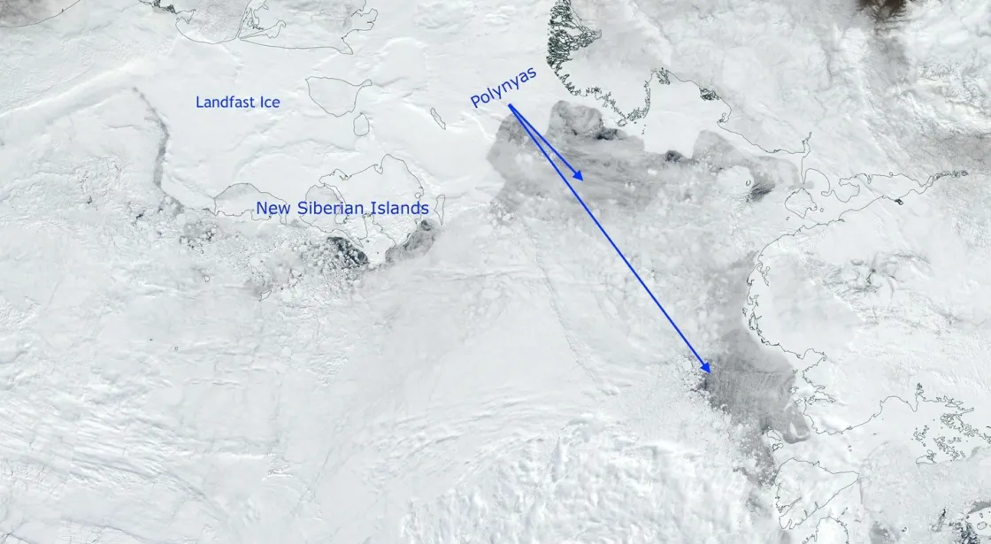 NASA Worldview image showing polynyas forming off the coast of Siberia.