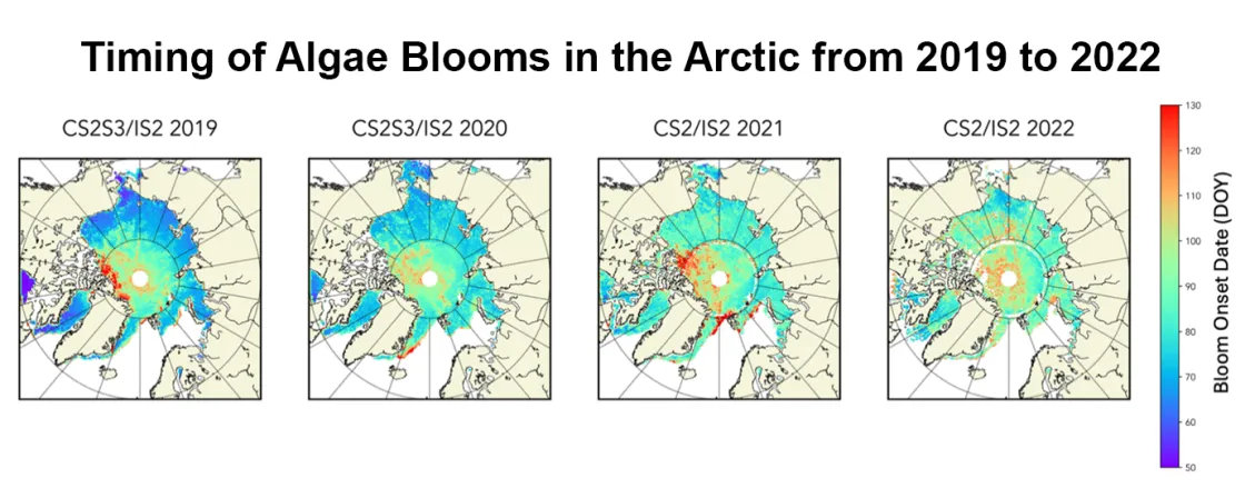 This set of figures shows the timing of under-ice algae bloom onset from blending CryoSat-2 (CS2), Sentinel-3 (S3), and ICESat-2 (IS2)-derived sea ice thickness data. 