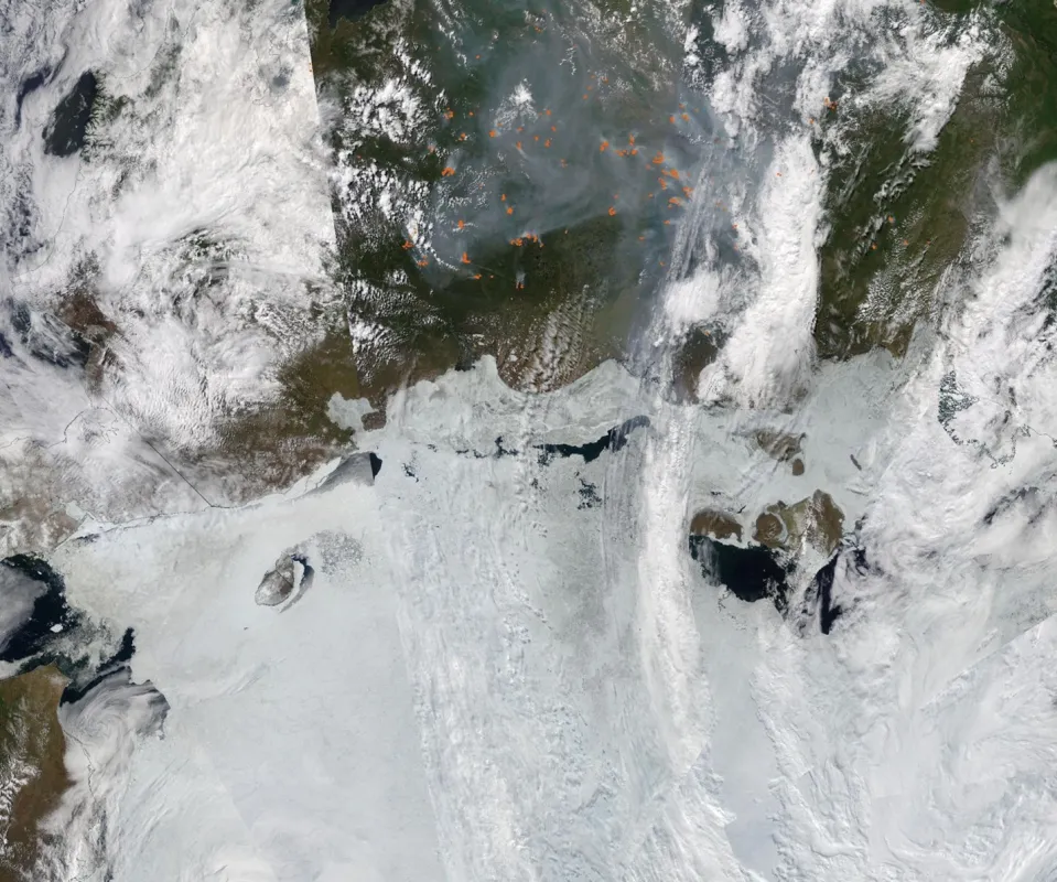 This Moderate Resolution Imaging Spectroradiometer (MODIS) image from June 25, 2024, shows location of fires over Siberia (red) and the smoke plumes.