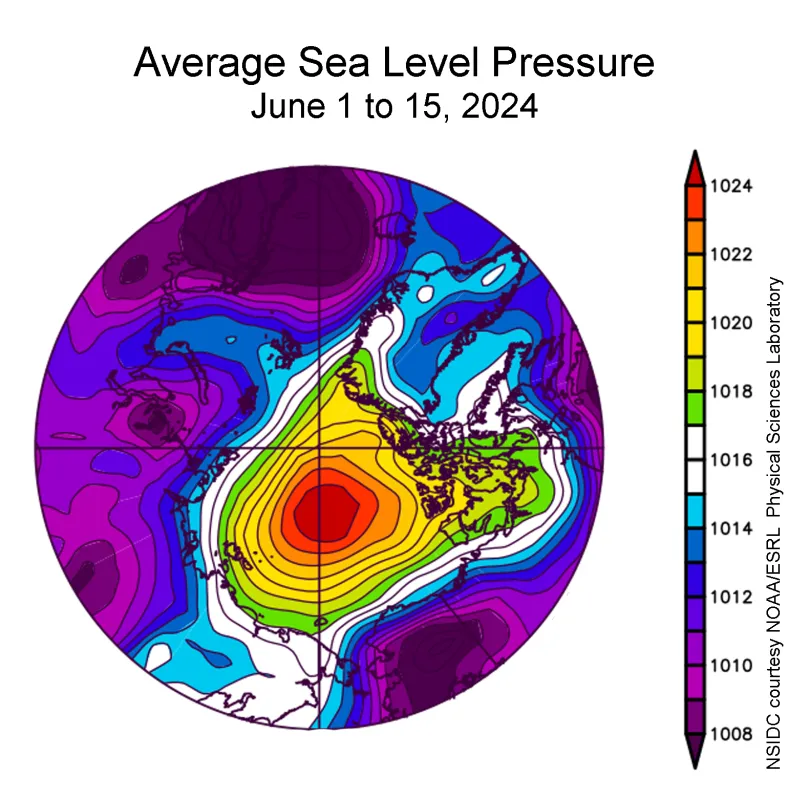 This plot shows average sea level pressure in the Arctic in millibars from June 1 to 15, 2024