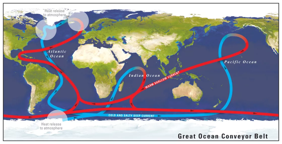 Thermohaline Circulation