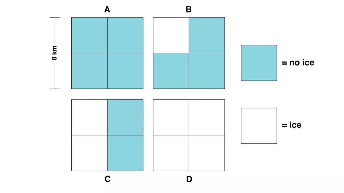 Sea ice grid for calculations example