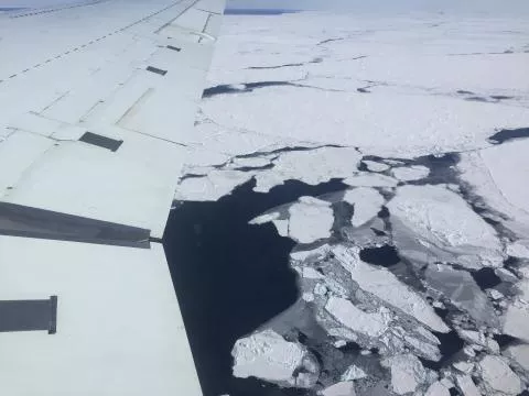 Broken ice floes in the Weddell Sea