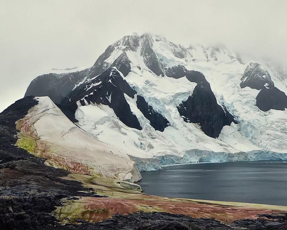 New research investigates the impacts of red and green algae on albedo and radiative forcing in Antarctica. Image credit: Bob Gilmore. 