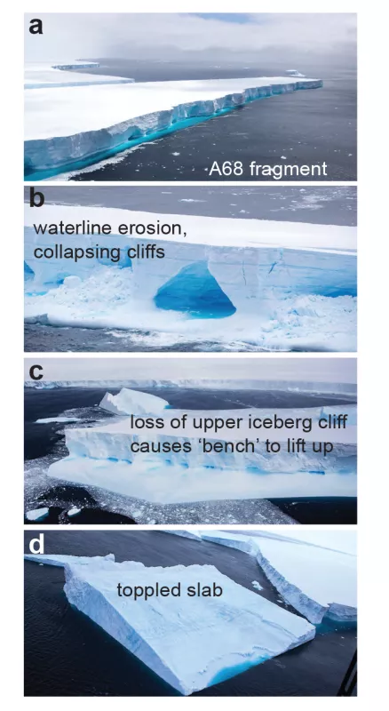 Figure 4a