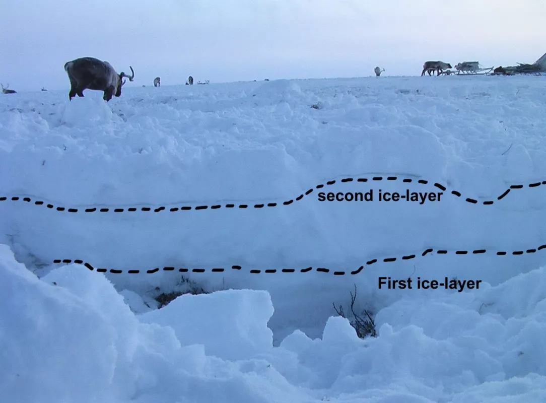 photograph showing layers of ice within snowpack