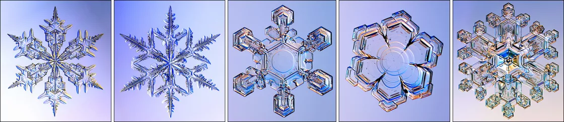 Microscopic photos of snowflakes