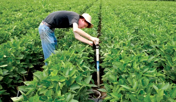 Photograph of a student reading a soil moisture gauge in a crop field