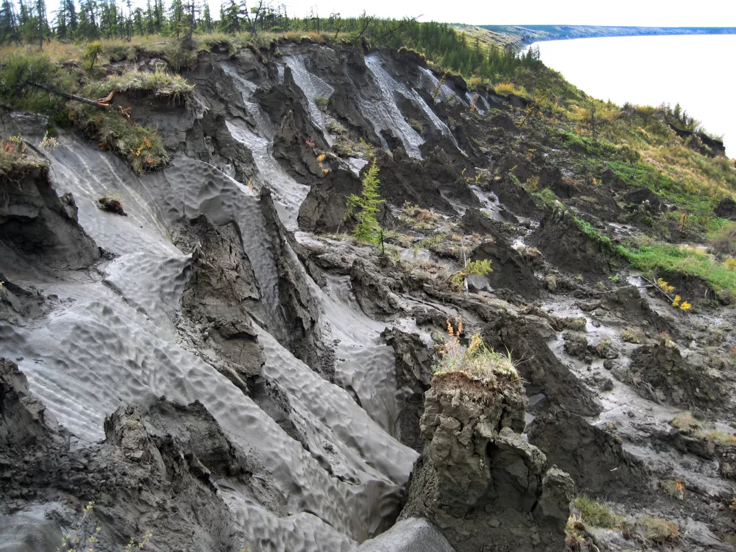 photo of yedoma near the Kolyma River