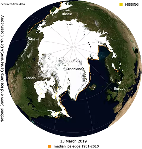 Blue marble image with sea ice