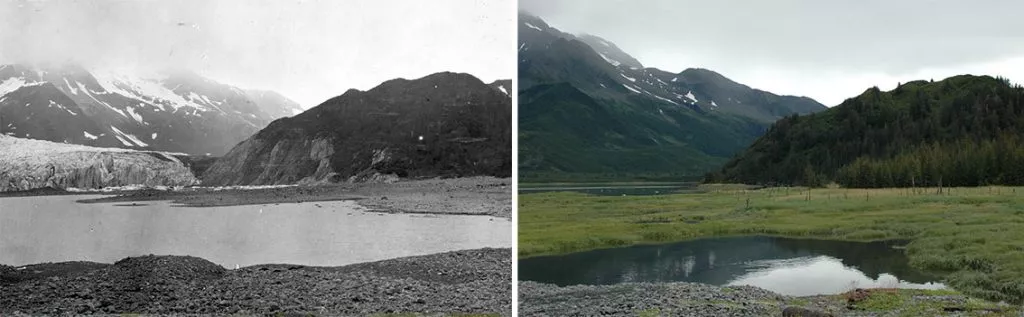 Pedersen Glacier