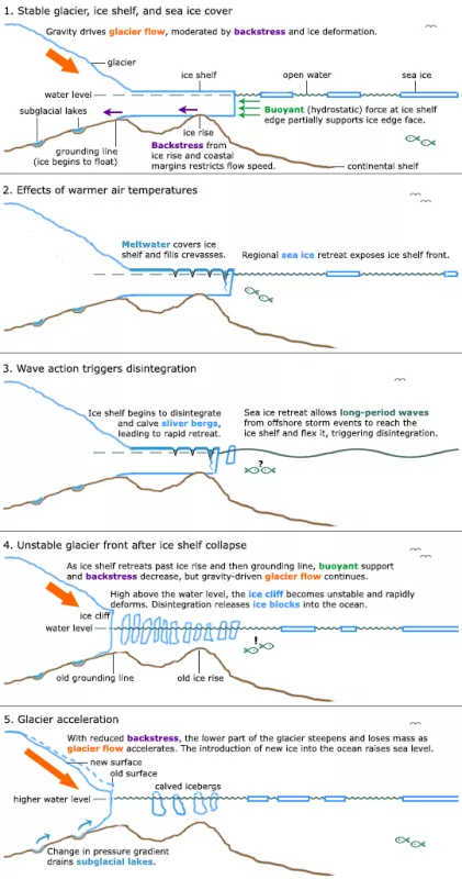 Glacier-ice shelf interaction diagram