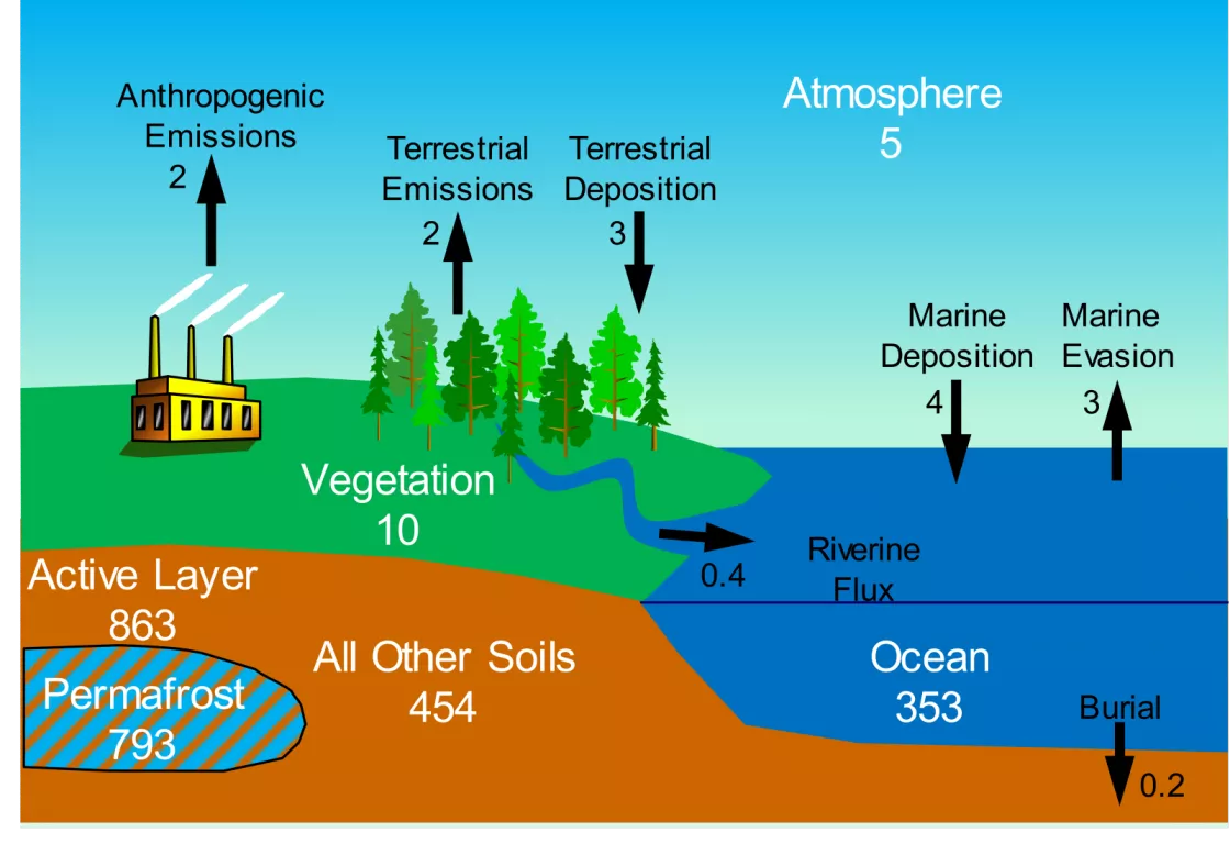 Illustration of global mercury cycle