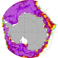 Noaa sea ice