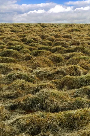 Landscape photo of thufur in Iceland.