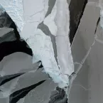 arctic sea ice