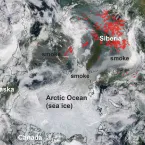 NASA Worldview image from August 10, 2019, shows the locations of wildfires in the Arctic as detected by thermal images (not shown).