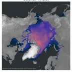 This map of the Arctic shows average sea ice thickness in meters on December 15, 2023.