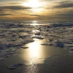 Chucki sea ice_0