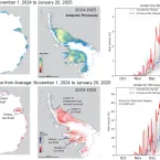 Figure 1. The top left map shows the total melt days for the Antarctic Ice Sheet from November 1, 2024, to January 20, 2025 with a close-up map of the Antarctic Peninsula to its right. The bottom left and center maps show the total melt days as a difference from average relative to the 1991 to 2020 reference period. The top right graph shows daily melt extent as a percentage of the ice sheet for the 2024 melt season up to January 20, 2025, with the average values and ranges for the same reference period. Th