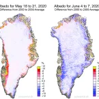 Figure 5: Albedo maps