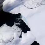 Wilkins Ice Shelf