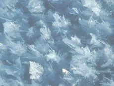 frost_flowers.jpg