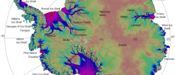 Velocity magnitude